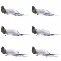 Dekorationsfågel Silver/Grå 6-pack