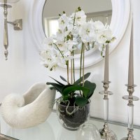 Orkidé i glaskruka 70 cm