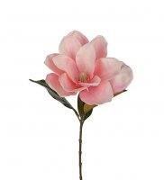 Magnolia Lyx 70 cm - Rosa