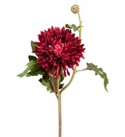 Chrysanthemum 56 cm