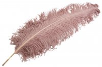 Strutsfjäder Dusty Pink 60 cm