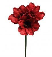 Amaryllis 65 cm - Röd
