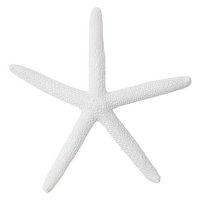 Serlina starfish 3-pack