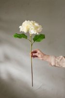 Hortensia Real Touch - Vit