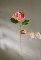 Hortensia Real Touch - Rosa