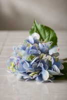 Hortensia Real Touch - Blå