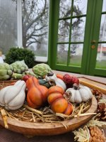 Pumpa Mini Grön 2-pack
