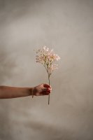 Brudslöja Rosa - 35 cm