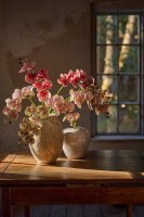 Orkidé Rosa - 75 cm