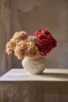 Hortensia Rosa - 48 cm