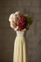 Hortensia Ljusrosa - 48 cm