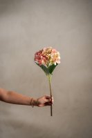 Hortensia Rosa - 48 cm