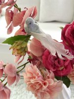 Fåglar Glitter 2-pack