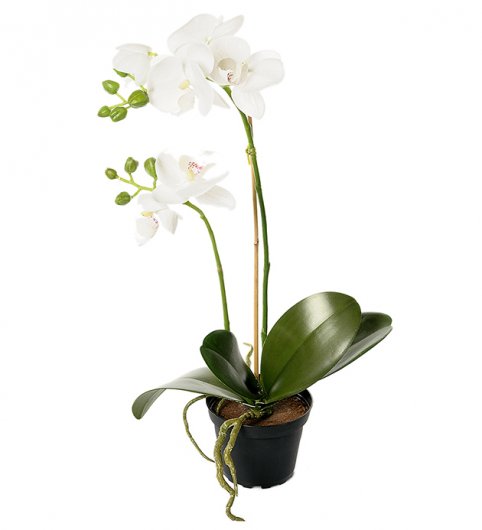 Orkidé kruka 45 cm