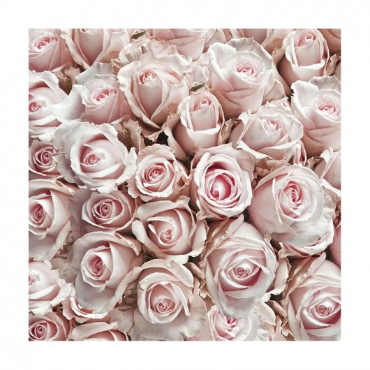Servett Pastel Roses 20-pack