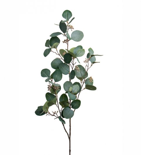 Eucalyptus med bär 100 cm