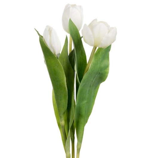 Tulpaner mix 36 cm - Vit