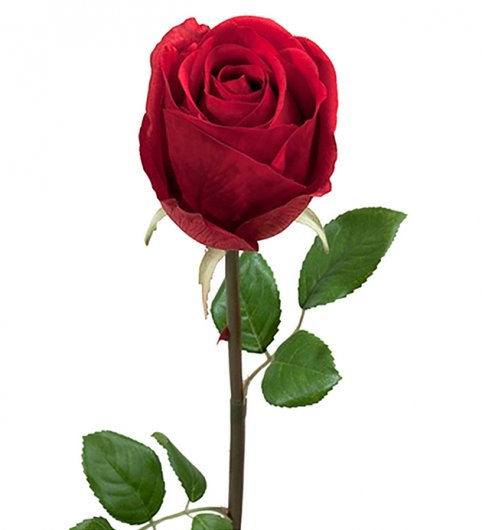Ros Lyx röd 75 cm