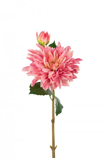 Dahlia Real Touch - Rosa