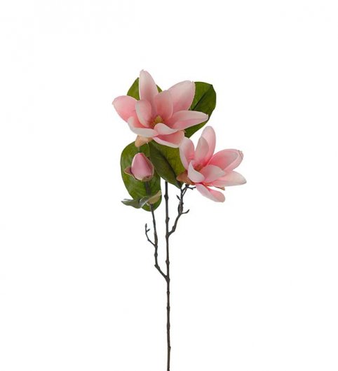 Magnolia 70 cm - Rosa