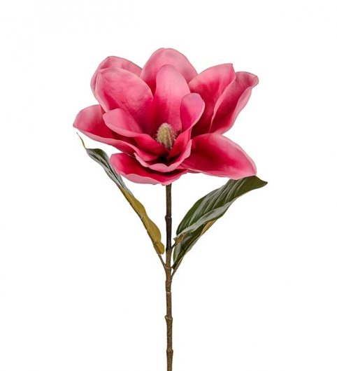 Magnolia Lyx 70 cm - Lila