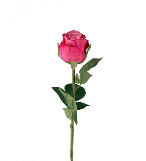 Ros 50 cm - Rosa