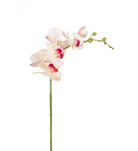 Orkidé 75 cm