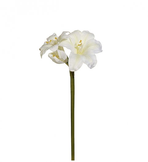 Amaryllis 35 cm