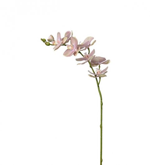 Orkidé Ljusrosa - 75 cm