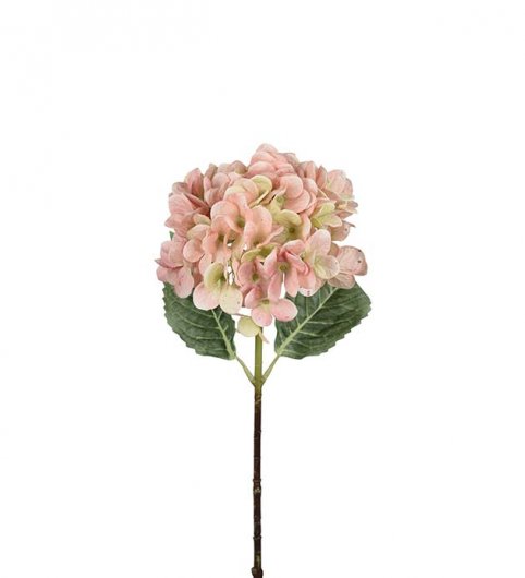 Hortensia Rosa - 48 cm